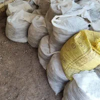 کود بلدرچین