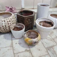 گلدان سفالی و سرامیکی