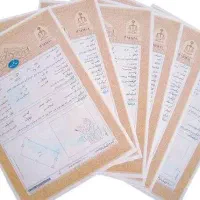 زمین-ملکی