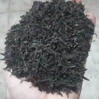 چای شاهپسند لاهیجان|عمده‌فروشی|لاهیجان, کوی آزادگان|دیوار