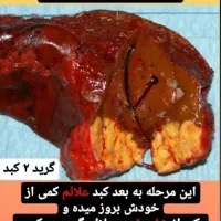 مزاج شناسی|خدمات آموزشی|شیراز, عفیف‌آباد|دیوار