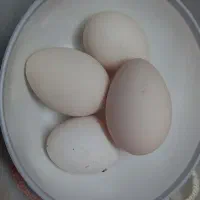 . تخم مرغ میناتوری سبرایت