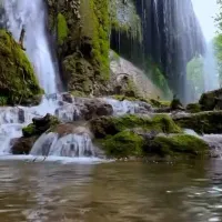 اسکان رایگان