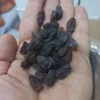 کشمش بیدانه افتابی|خوردنی و آشامیدنی|رشت, نخودچر|دیوار