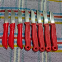 چاقو میوه خوری|ظروف سرو و پذیرایی|قم, هفت تیر|دیوار