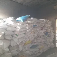 پوست پسته کوهی