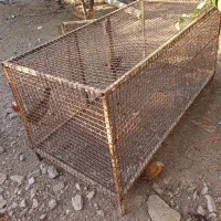 قفس جا مرغی