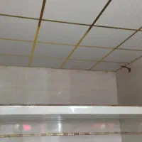 نصاب سقف کاذب و دیوار پوش PVC و تایل ۶۰×۶۰|خدمات پیشه و مهارت|تبریز, |دیوار