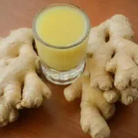 آب زنجبیل بطری ۳۰ میل برای کافه و قهوه فروشی سوپری