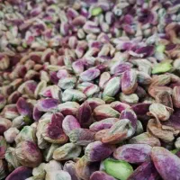 خدمات مغز کن پسته