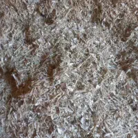 کاه لوبیا چیتی