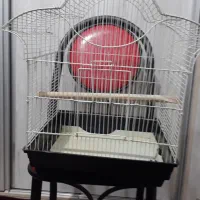 دو عدد قفس پرنده|لوازم جانبی حیوانات|سهند, |دیوار