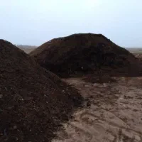 کودگاوی ،حیوانی