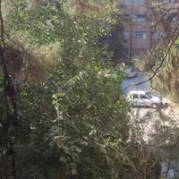 کرایه روزانه،ساعتی