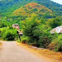 اجاره ویلایی دوخواب در بام سبز ماسال|اجارهٔ کوتاه‌مدت ویلا و باغ|ماسال, |دیوار