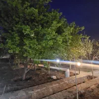 اجاره سالانه و ماهانه باغ ویلا امینیه ۳|اجارهٔ خانه و ویلا|مشهد, میان ولایت|دیوار