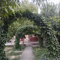 خانه اجاره ایی|اجارهٔ خانه و ویلا|الیگودرز, |دیوار