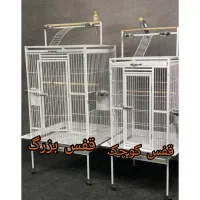 ارزان ترین قفس کاسکو ،مرغ عشق و طوطی از پژاوند|لوازم جانبی حیوانات|تهران, جوادیه تهرانپارس|دیوار