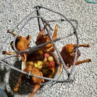 اقامتگاه بوم گردی چاهک کنار دریا|اجارهٔ کوتاهمدت ویلا و باغ|بندر گناوه, |دیوار