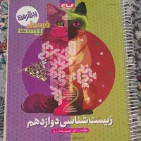 کتاب فرمول بیست نهایی دوازدهم، خط کشی با مداد