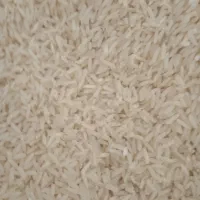 برنج تازه فریدونکنار طارم هاشمی باعطر وطعم خوب|خوردنی و آشامیدنی|سمنان, |دیوار
