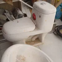 توالت فرنگی، رو شویی، و دیوار سبز