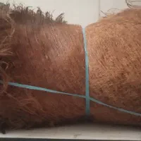 برگ با پوست وسایل گل کاری