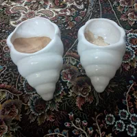 گلدون صدفی