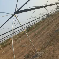 اجاره ۳۵۰۰ متری|اجارهٔ دفتر صنعتی، کشاورزی، تجاری|عنبرآباد, |دیوار