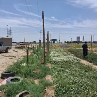 فروش فوری زیر قیمت