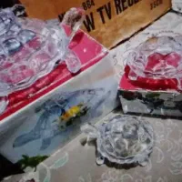 جاشکلاتی و لاک پشت تزیینی