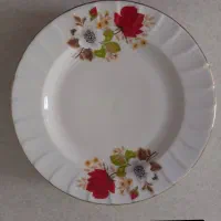 ۲۴ تا پیش دستی و بشقاب چینی