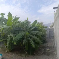 فروش خانه ویلایی ۱۴۰ متری ۲ خوابه|فروش خانه و ویلا|منوجان, |دیوار