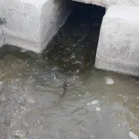 ۶۰ هکتار سنددار با آب قناعت ۲۴ ساعته|فروش زمین و ملک کلنگی|تهران, حبیب الله|دیوار