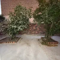 همکف حیاط دار / بدون پارکینگ / عارف|فروش آپارتمان|شاهین‌شهر, نظامی|دیوار