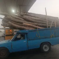 خرید چوب ،ریشه ،برش درخت|خدمات باغبانی و درختکاری|قزوین, |دیوار