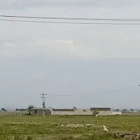 فروش-مرغداری-16000تایی-گوشتی