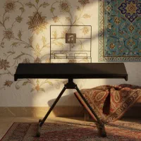 میز سنتور راسا (ارسال رایگان) تاشو ، کمجا