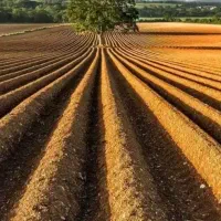 زمین-کوشکز-لوکیشن-فوق-العاده-فروش-فوری