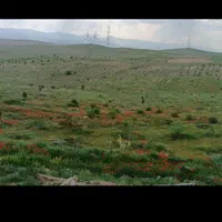 زمین فروشی ارتفاعات هاشمیه|فروش زمین و ملک کلنگی|مشهد, نیروی هوایی|دیوار