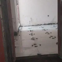 نیازمند اکیپ کاشی کار و سنگ کار و اکیپ مصالح کش|استخدام معماری، عمران و ساختمانی|قم, مسکن مهر|دیوار