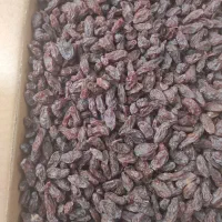 مویز رطبی و کشمش|خوردنی و آشامیدنی|شیراز, قلات|دیوار