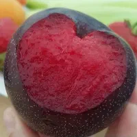 نهال آلو سانتریزه