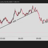 تریدر شو،آموزش حرفه ای تضمینی،تحلیل،هوش مصنوعی.|خدمات آموزشی|شیراز, زند|دیوار