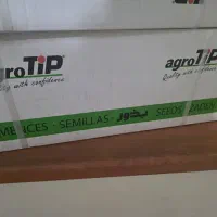 بذر پیاز