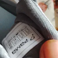 کفش پاما|کیف، کفش، کمربند|گناباد, |دیوار