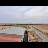 دامداری و باغ پسته|فروش دفتر صنعتی، کشاورزی، تجاری|ایوانکی, |دیوار