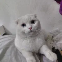 نمیتونم به شهر دوری که میرم با خودم ببرم