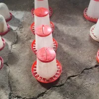 دانخوری و آبخوری|لوازم جانبی حیوانات|پارسآباد, |دیوار