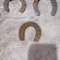 فروش نعل و زنگوله